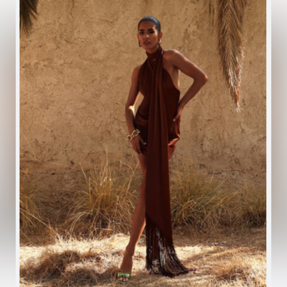NWT Rat & Boa Serafia Dress in Cocoa / Tiramisu XXS